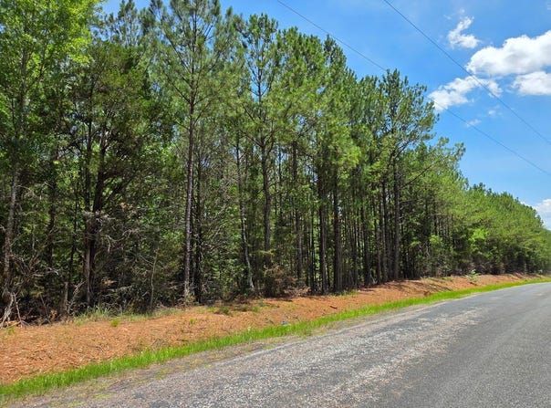 10a Chestnut Ridge Road, McCormick, SC 29835