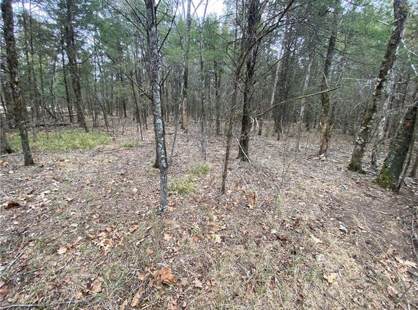 Pine Street lot: 2, Diamond City, AR 72644