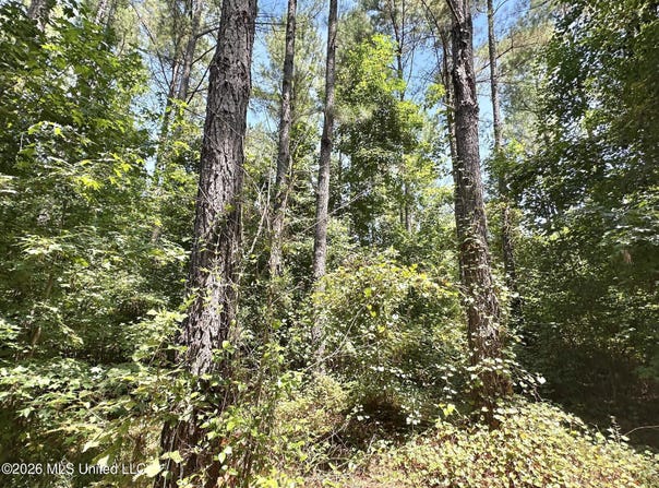 5 County Road 24, Enterprise, MS 39330