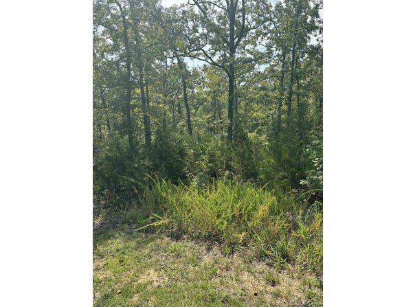 Fox Hollow Road lot: #3, Branson West, MO 65737