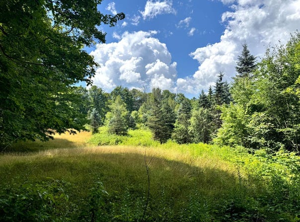 1.3 Tannery Rd, Western, NY 13486