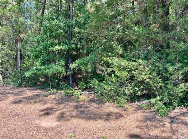 CR 4814, Bloomburg, TX 75556