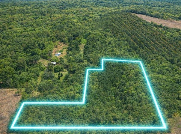 12.079AC Private Road 7630, Call, TX 75933