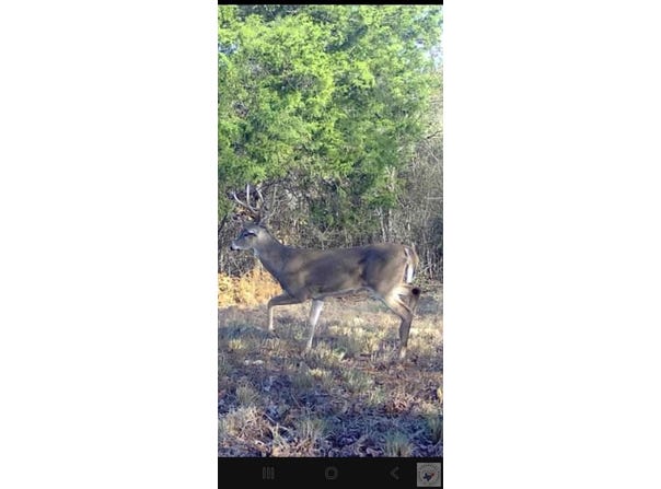 MC 30, Doddridge, AR 71834