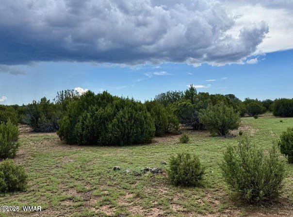 116 Co Rd 8127, Concho, AZ 85924