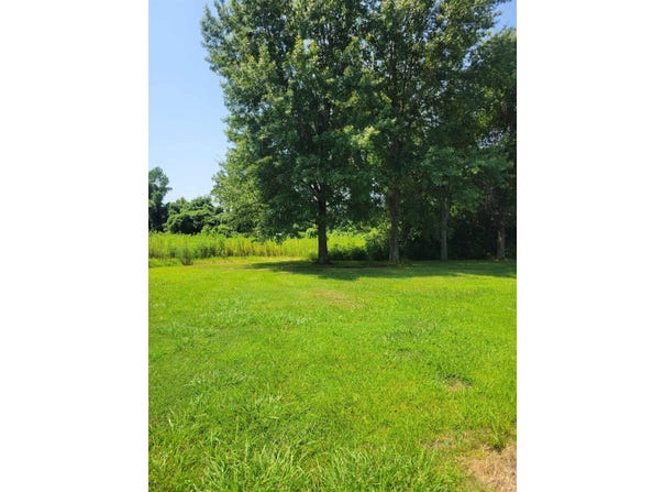 140 HALLIBURTON Ave, Ripley, TN 38063-2011