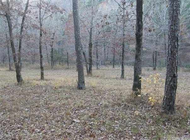 155 Shady Lane, Mena, AR 71953-9999