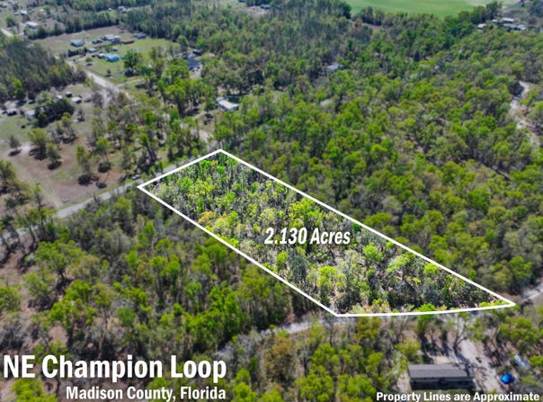 NE Champion Loop, Lee, FL 32059