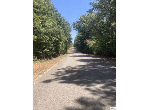 400 TIPPETT ROAD, Homer, LA 71040