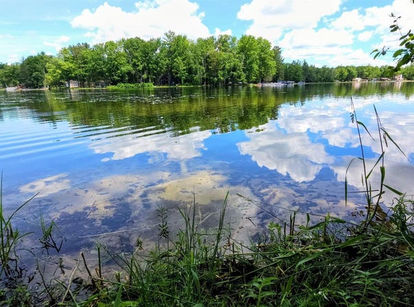 Red Oak Trail, Prescott, MI 48610