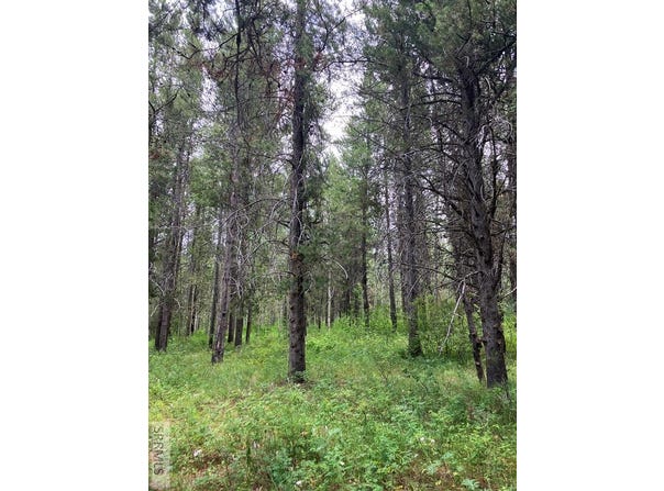 1596 Annies Landing, Ashton, ID 83420