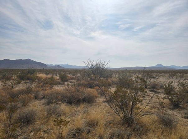 21508 Caliche Rd, Terlingua, TX 79852
