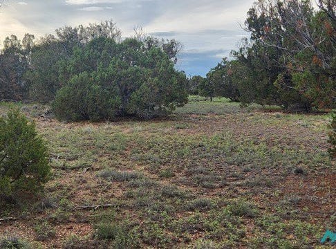 115 Cimarron Drive, Quemado, NM 87829