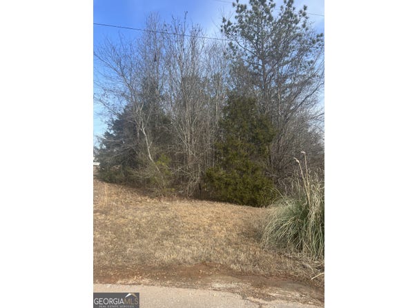 198 Gregory Drive, Martin, GA 30557
