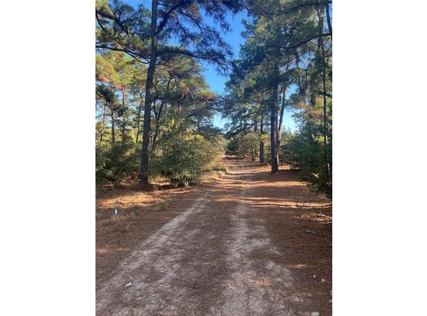 Pine Lodge Dr, Bastrop, TX 78602