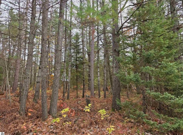 Battalion Boulevard, Grayling, MI 49738