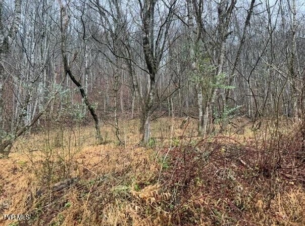Fork River Road, Abingdon, VA 24210