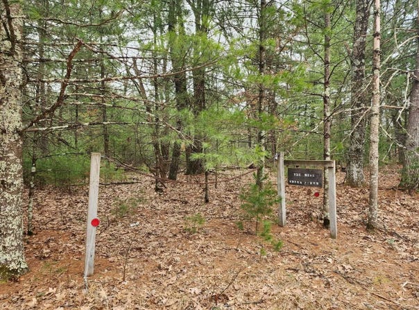 Dyke Avenue lot: 8, Adams, WI 53910