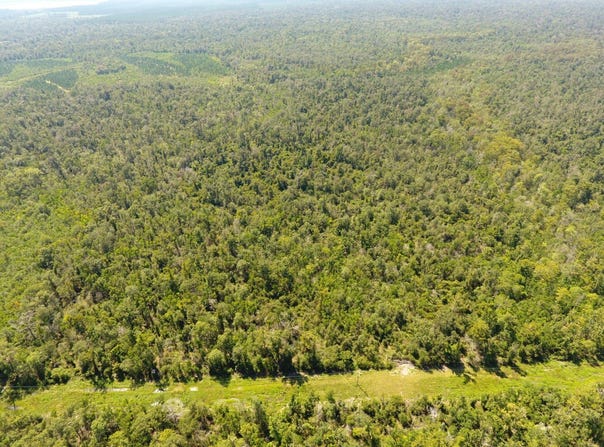 Martin Tram Road, Reeves, LA 70658