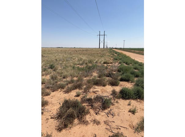Elk, Levelland, TX 79336