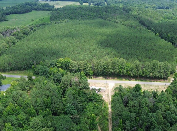 County Road 40, Brilliant, AL 35548