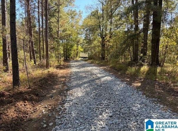 US HWY 231, MATHEWS, AL 36052