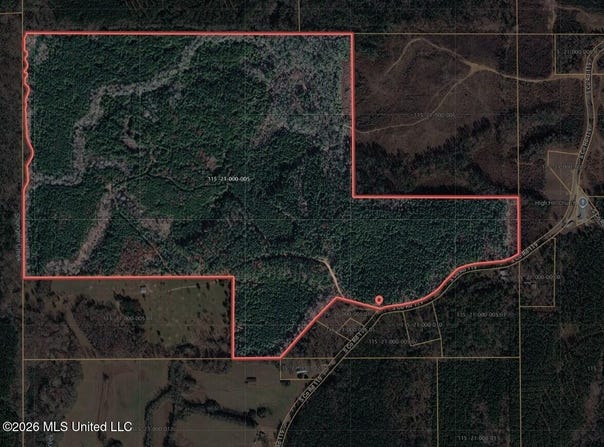 0 S Co Rd 119, Raleigh, MS 39153