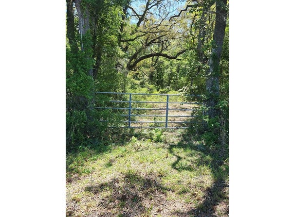 NE 811th St, Old Town, FL 32680