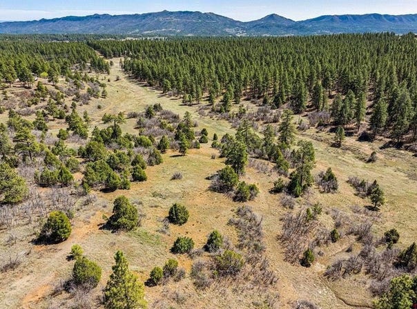 1963 County Road 125, Hesperus, CO 81326