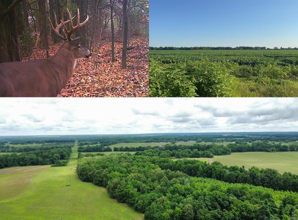 phillips rd. 222 lexa, Lexa, AR 72355