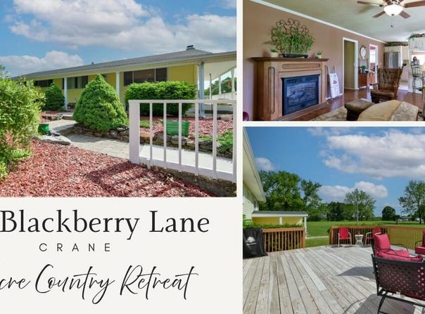 1338 Blackberry Lane, Crane, MO 65633