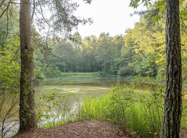 Anthony Road, Pickens, SC 29671