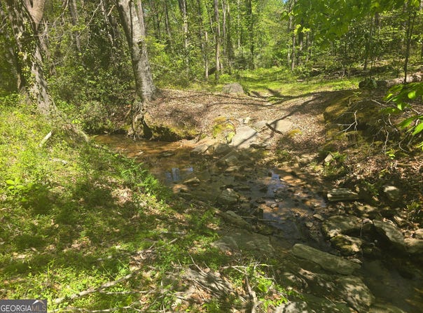Hilltop Lane, Toccoa, GA 30577