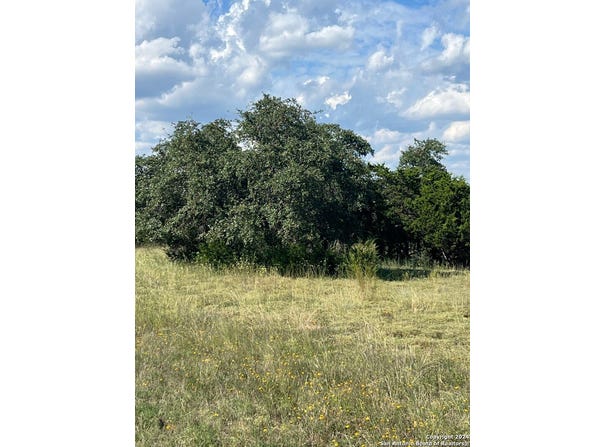 317 Bosque Ridge, Spring Branch, TX 78070