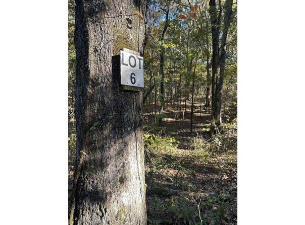 226 Cathedral Pines Ln, Mena, AR 71953
