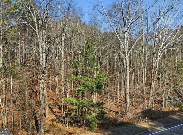 Sixes Road, Canton, GA 30114