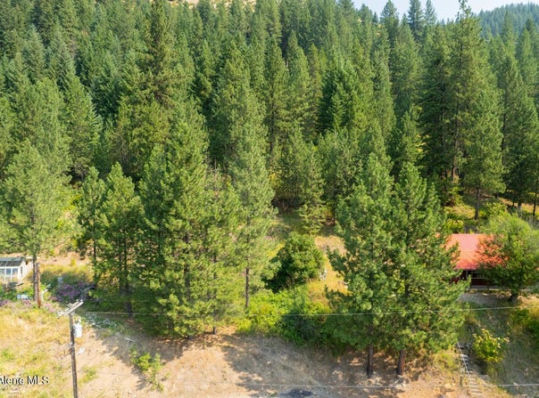 Lots 1-3 Pine St, Mullan, ID 83846