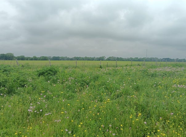 CR494 N, Chilton, TX 76632