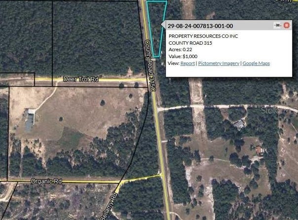 COUNTY ROAD 315, MELROSE, FL 32666