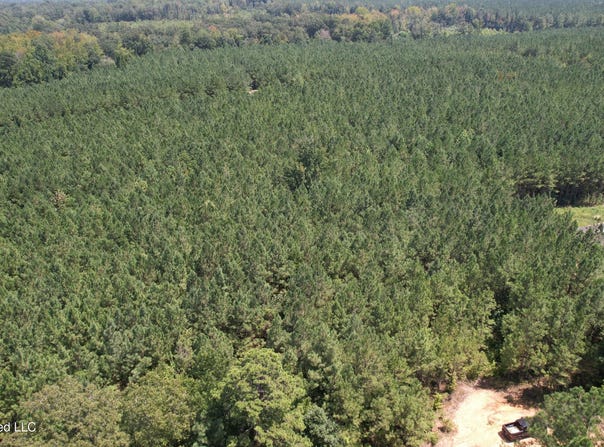 County Rd 2127, McCool, MS 39108