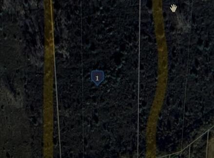 Argonne Avenue, Brownstown Twp, MI 48134