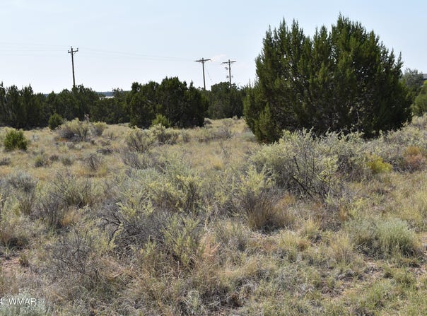 6 Zuni Drive, Concho, AZ 85924