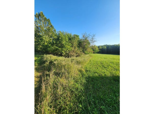 SW Mirabile Dr, Polo, MO 64671