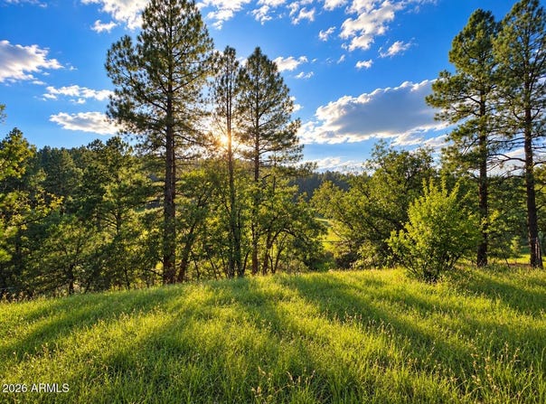 1248 S RUNNING ELK Road, Payson, AZ 85541