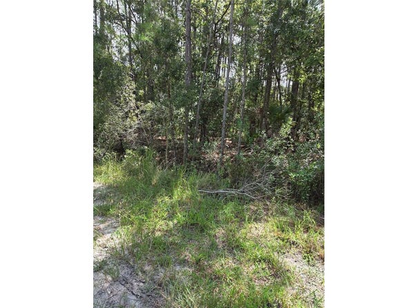 SW 18TH PLACE, OCALA, FL 34481