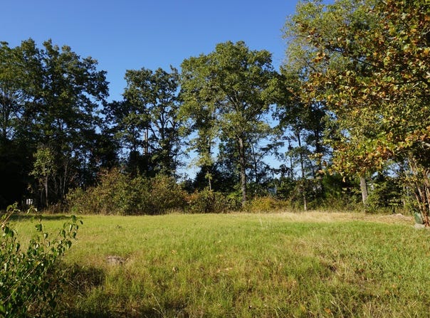 1688 Doc Holiday Dr, Log Cabin, TX 75148