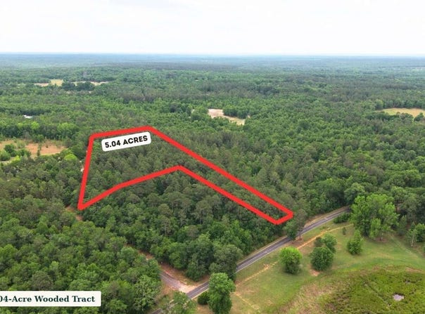 0 Lot 8 Holiness Church Road, Wagener, SC 29164