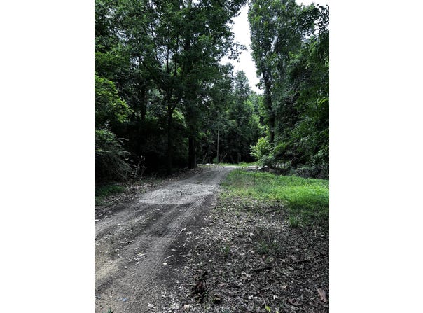 Varner Ridge Lane, Ridgeville, SC 29472