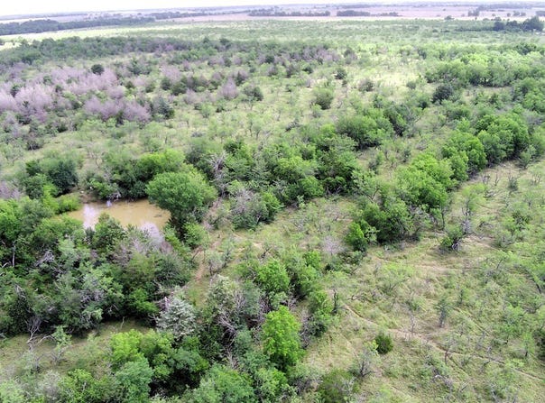 LCR 663, Kosse, TX 76653