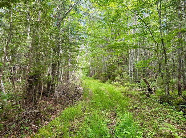 M2L12 Wellington Road, Harmony, ME 04942